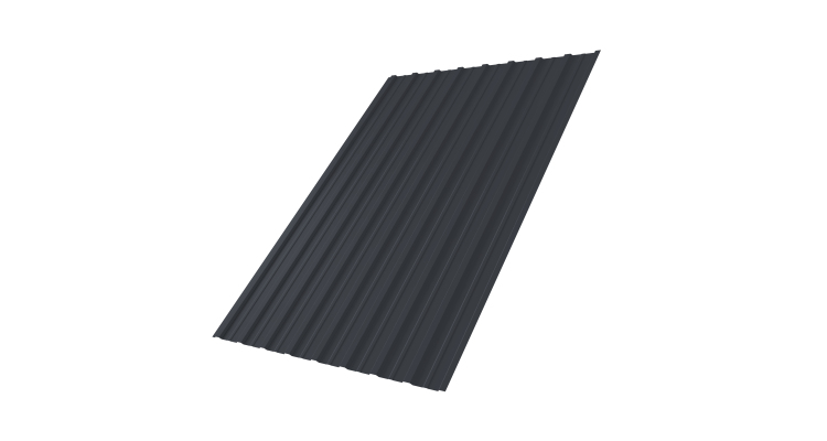 Профнастил С10A 0,45 PE-Double RAL 7024 мокрый асфальт